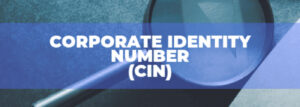 Read more about the article What Is A Corporate Identification Number (CIN) Of Company?