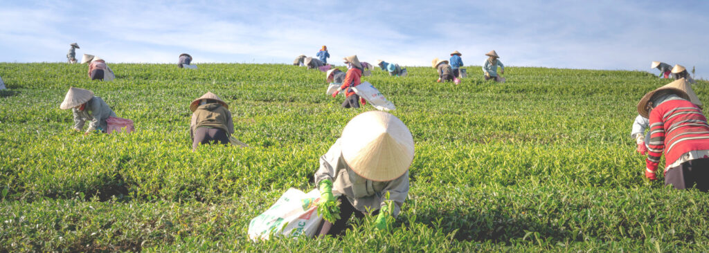 Impact-Of-GST-On- Agricultural-Sector