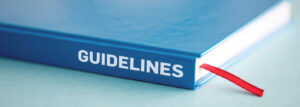 Read more about the article MCA Guidelines For Accounting And Auditing Private Limited 