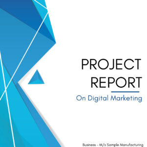 Project Reports