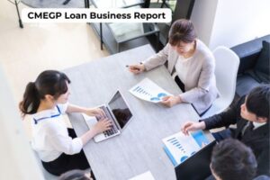 How to Get a CMEGP Loan Business Report in 1 Hour