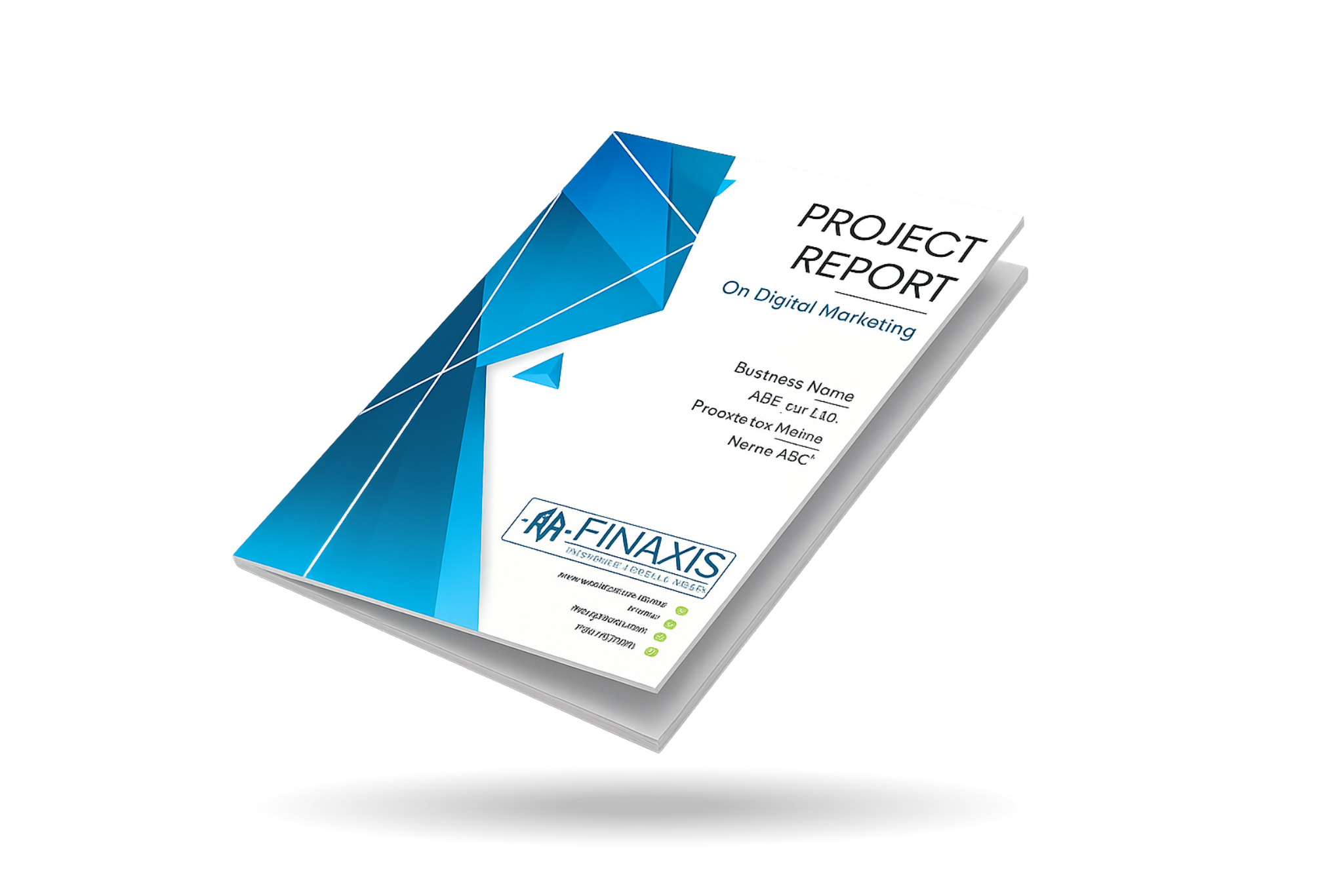 Prfessioanal-project-report