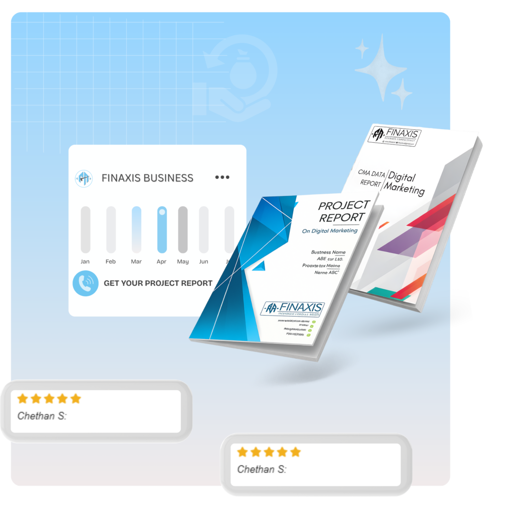 Project-Report-Finaxis