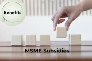 MSME Subsidies: Benefits of Hiring a Subsidy Consultant in India 