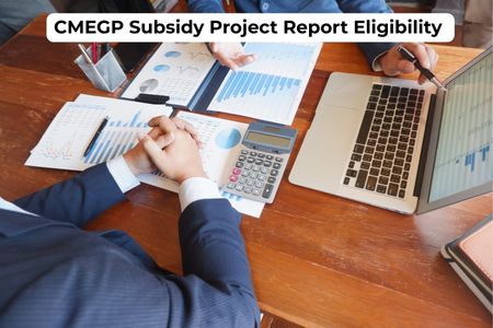 CMEGP Subsidy Project Report Eligibility