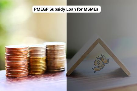 PMEGP Subsidy Loan for MSMEs—How to Get Government Support