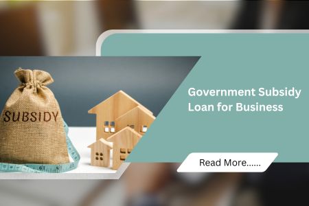 Government Subsidy Loan for Business