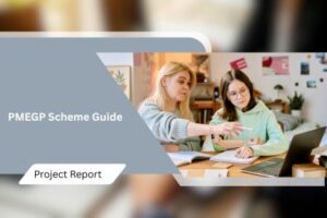 PMEGP Scheme Guide: Loans, Subsidy & Eligibility 