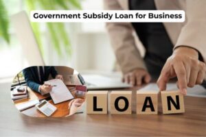 What is a government subsidy loan for business? Complete Guide for Entrepreneurs in India