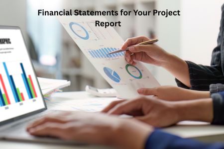 Read more about the article How to Analyze Financial Statements for Your Project Report