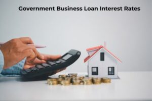 Government Business Loan Interest Rates and Subsidies in India 