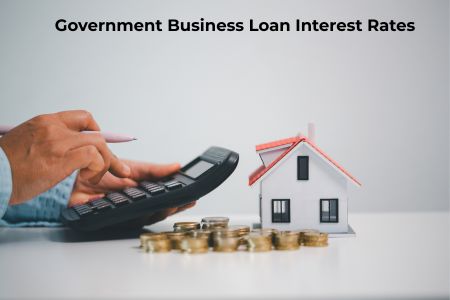 Government Business Loan Interest Rates and Subsidies in India 