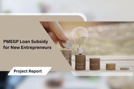 PMEGP Loan Subsidy