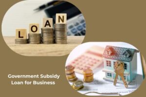 Government Subsidy Loan for Business in India (2026)—Complete Guide