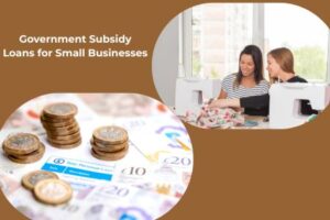 Government Subsidy Loans for Small Businesses