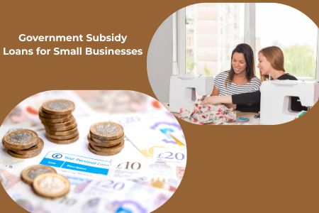 Government Subsidy Loans for Small Businesses