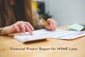 Financial Project Report for MSME Loan Applications 