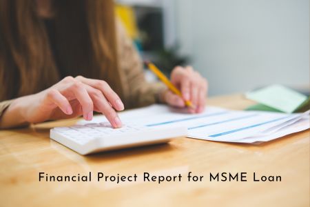 Financial Project Report for MSME Loan Applications 