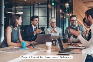 Project Report for Government Schemes | Subsidy & Loan 2026 Guide