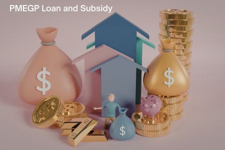 PMEGP Loan and Subsidy