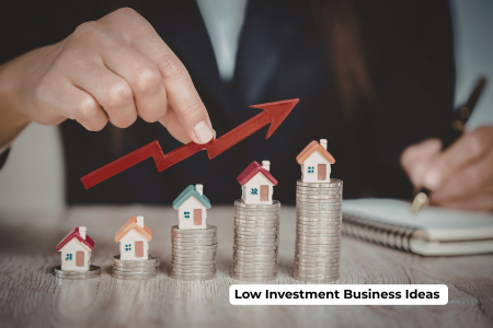 Top 10 Low Investment Business Ideas
